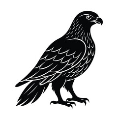 Hawk Silhouette Vector Art and Black and White Hawk Bird Illustration