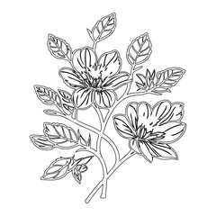 Elegant floral illustration showcasing blooming flowers and delicate leaf arrangements