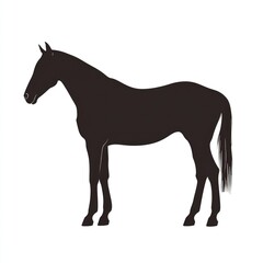 Obraz premium Black horse silhouette, equine profile, isolated, white background, equestrian art