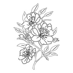 Elegant floral design featuring delicate blooms and intricate leaf arrangements