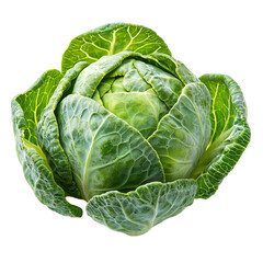 Single Brussel Sprout isolated on white background. Suitable for marketing or business purposes. PNG file