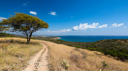 Coastal Hillside Trail With Single Tree And Ocean View