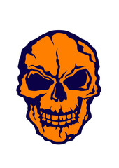 Tete de mort halloween crane humain