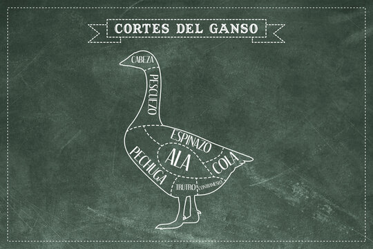 Diagrama de cortes del Ganso.