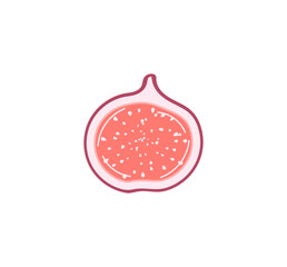 Colorful hand drawn fig cut in half. Modern abstract fruit with seeds. Flat cartoon vector illustration. Fig cross section