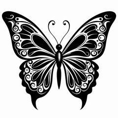 black and white butterfly