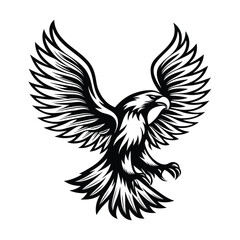 Striking Black & White Eagle With Open Wings and Talons Ready to Catch