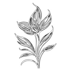 Intricate Line Art Depiction of a Floral Arrangement with Stylized Petals