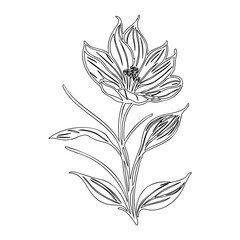 Elegant floral outline drawing displaying a detailed blossom and foliage