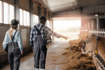 Two farm workers discuss vaccinations and feed selection for cow. Concept farmer lifestyle and...