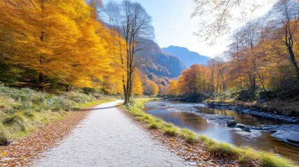 Obraz premium Autumn Path River and Trees Vibrant Landscape High-resolution Sharp Focus Landscape Wide Shot Golden Leaves Serene Hiking Trail Warm Sunny Tones Ideal for Travel Brochures