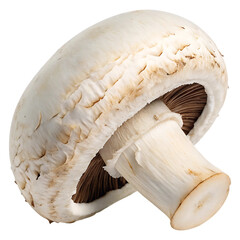 A pristine button mushroom, plump and creamy white cap with subtle brown gills, rests on a stark white background, showcasing its delicate texture and earthy tones.