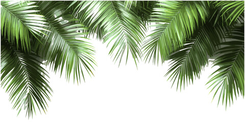 Naklejka premium Evergreen palm leafs on transparent background png, seasonal palm fronds, tropical greenery, serenity, exotic plants, natural palm leaves, nature decoration elements