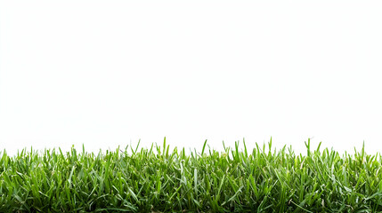 Fototapeta premium Close Up View Of Green Grass On White Background