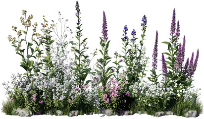 Wildflower bloom vector nature plants png file, isolated wildflower design, colorful spring flowers, nature cut out background, transparent wildflower artwork, spring plant illustration