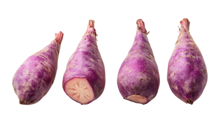 Four vibrant purple yams showing skin texture and one cross-section highlight healthy root vegetable ingredients isolated on a white.