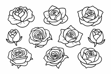 Elegant Floral Outline Pattern of Roses in Full Bloom and Buds Illustration