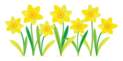 Bright Yellow Daffodils Vector Illustration, Fresh Blooming Daffodils Artwork, Colorful Daffodil Flower Garden Vector, Springtime Daffodil Flowers Clipart, Colorful Daffodil Flower Garden Vector