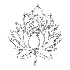 Elegant floral line art depicting a water lily with intricate petal details