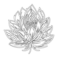 Detailed monochromatic line art illustration of a stylized lotus flower
