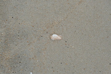 Sandy beach and sea for background