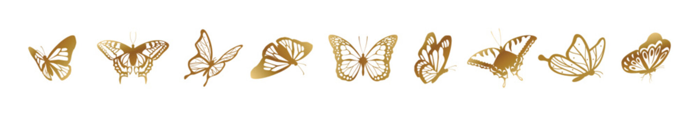 Butterfly line doodle hand drawn art. Outline simple minimal butterfly line tattoo icon logotype. Vector illustration