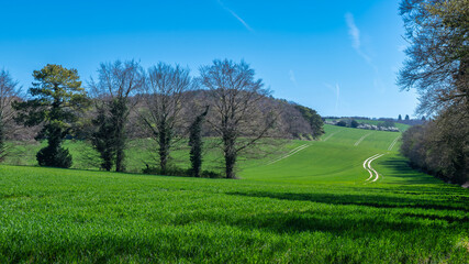 Countryside around Hollingbourne near Maidstone in Kent, England