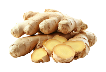Ginger harvesting process farm food natural organic lifestyle. Isolated on transparent background, png.