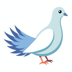 Dove isolated on white background