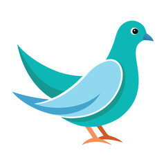 Dove isolated on white background