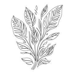 Elegant botanical illustration featuring stylized tropical leaves on white backdrop