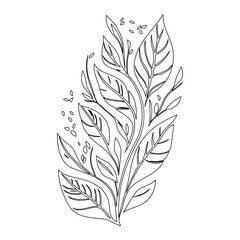 Elegant botanical line art illustration with intricate leaves and delicate stem
