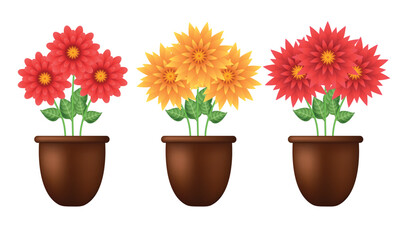 Flowers. Flowers in a brown pot. Vector illustration isolated on white background.