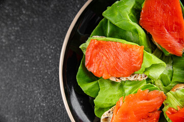 Salmon sandwich red fish seafood appetizer dish fresh tasty gourmet food background on table rustic food top view copy space pescetarian diet