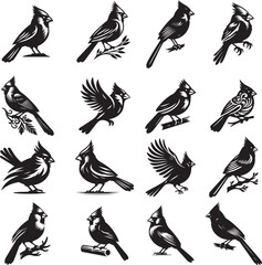 set of Northern Cardinal silhouette icon vector illustration on white background
