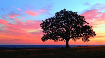 Obraz premium Majestic Silhouette: A Lone Tree at Sunset