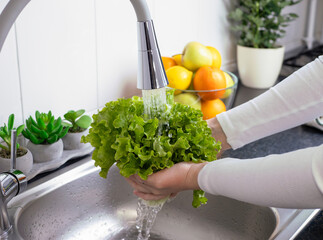 Woman hands washing a fresh lettuce to prepare a fresh salad