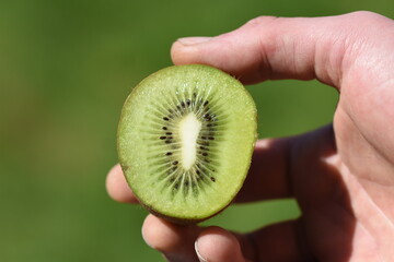 kiwi cut in half macro 