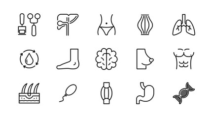Human organ body part line icon set. Biology, health, body ache, anatomy outline icon collection. UI thin outline icon pack