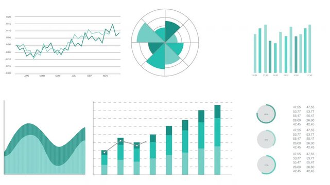 Animated infographics elements. Market data analysis visualization with infographics, charts and diagrams isolated on white background. 4K animation 