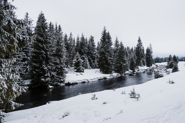 Scenic view to the winter wonderland of wilderness around Jizera river with snow covered deep forest and snow meadows evokes adventure, pure nature and nordic landscape on Polish-Czechia border