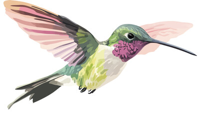 Obraz premium Minimalist Watercolor Hummingbird Vector Illustration for Graphic Resources and Design