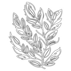 Elegant Foliage Line Art Depiction, Botanical Illustration With Detailed Outlines