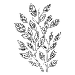 Elegant botanical contour drawing featuring delicate foliage arrangements and slender stems