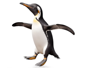 Dynamic shot of a realistic penguin mid-jump on an isolated backdrop, showcasing its vibrant feathers and lively posture for nature enthusiasts and creative projects
