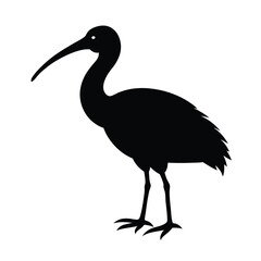 Ibis Silhouette Vector Art – Black and White Ibis Bird Illustration