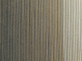 Aerial view of plowed fields