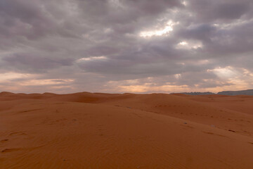 Stunning panoramic view of vibrant red dunes near Red Sand, Saudi Arabia, bathed in golden desert light.
