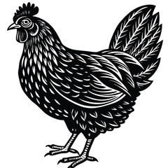rooster isolated on white, vector 