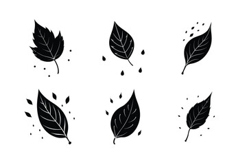 leaf falling vector art silhouette